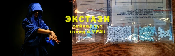 дживик Майский