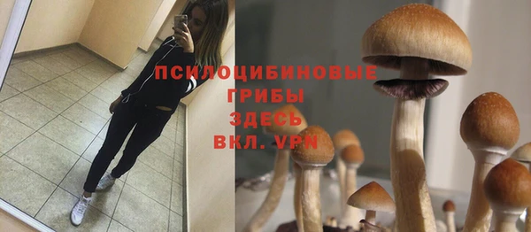 твердый Абаза