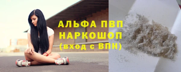 тгк Магас