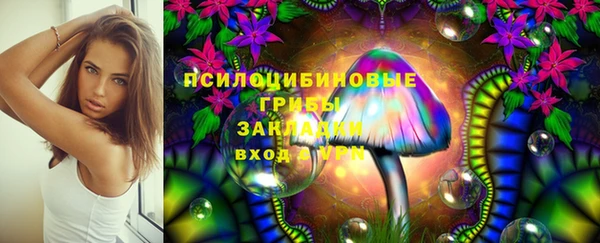 тгк Магас