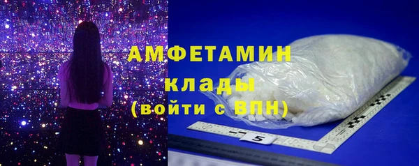 твердый Абаза
